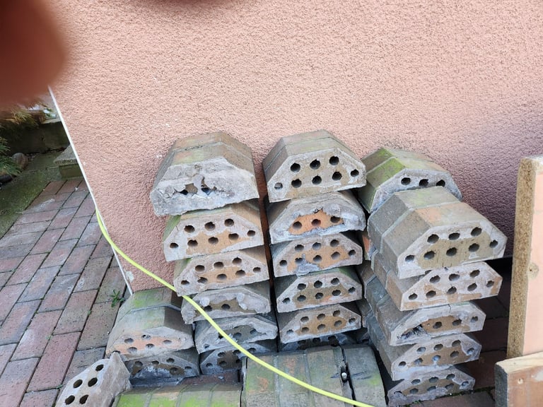 image for Coping bricks 