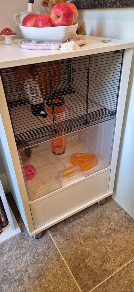 Omlet hamster cage