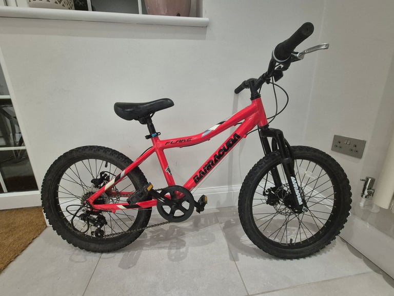 Childrens 20 inch Bike. 