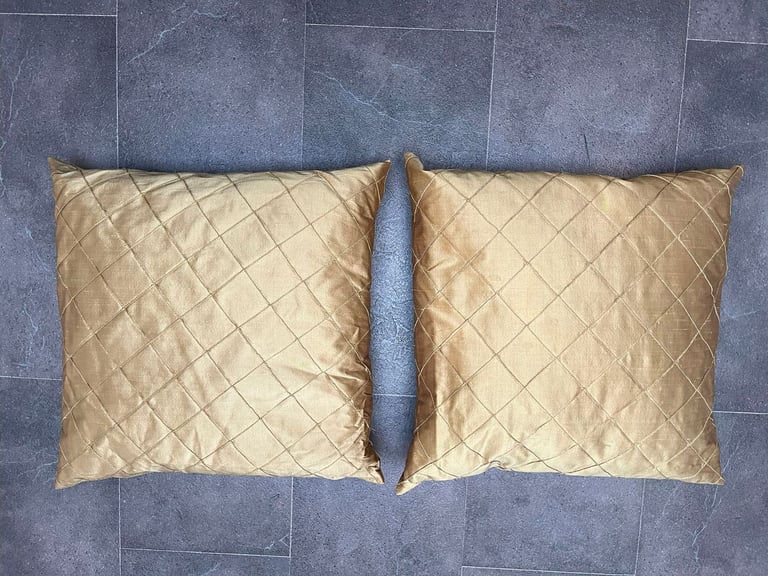 image for Indian Raw silk cushions (pair)