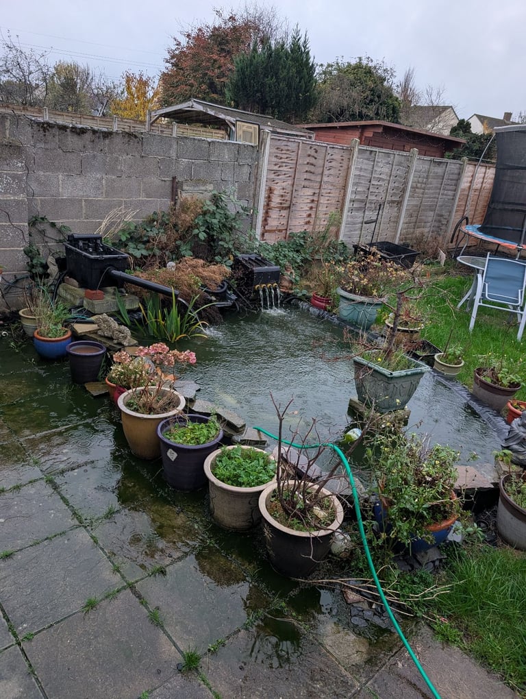 image for Pond closure, filters, pumps and contents of pond