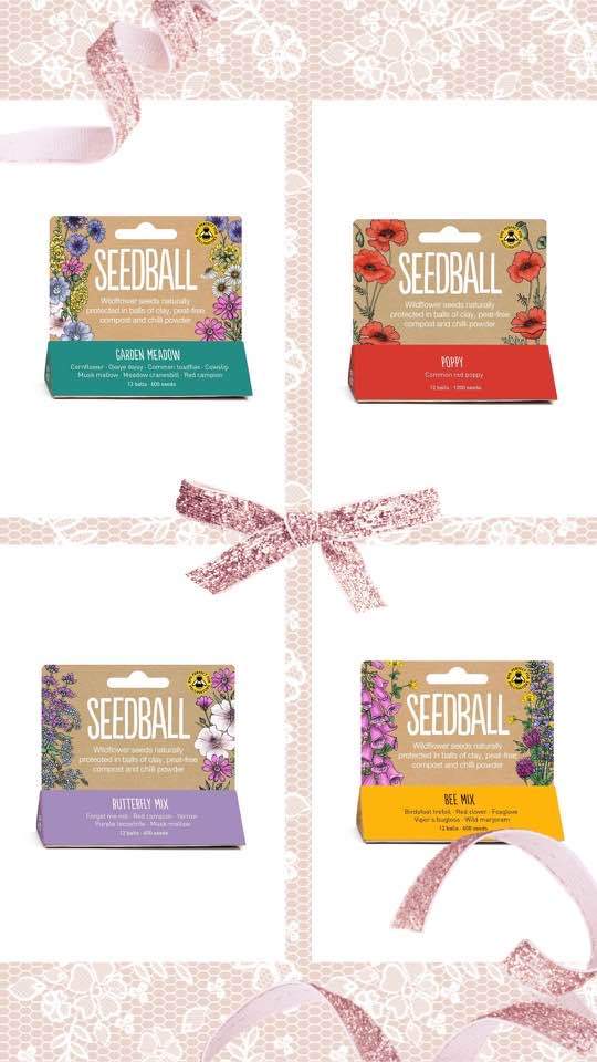 image for Seedball - Butterfly Mix