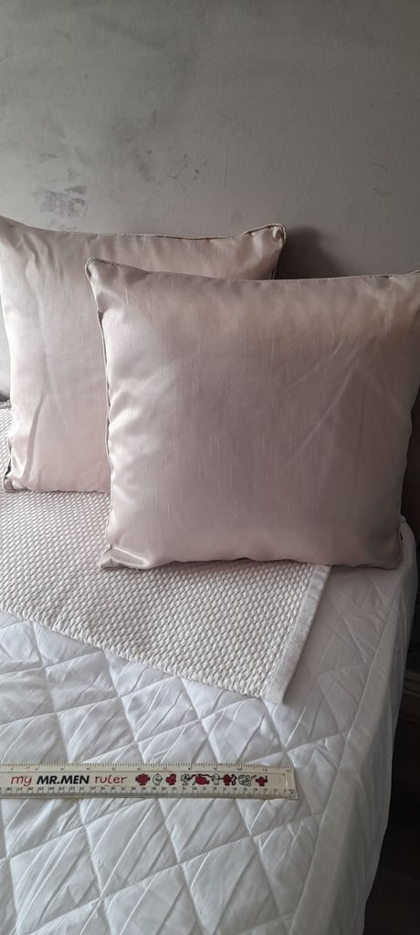 image for 2 Beige dupion silk cushions