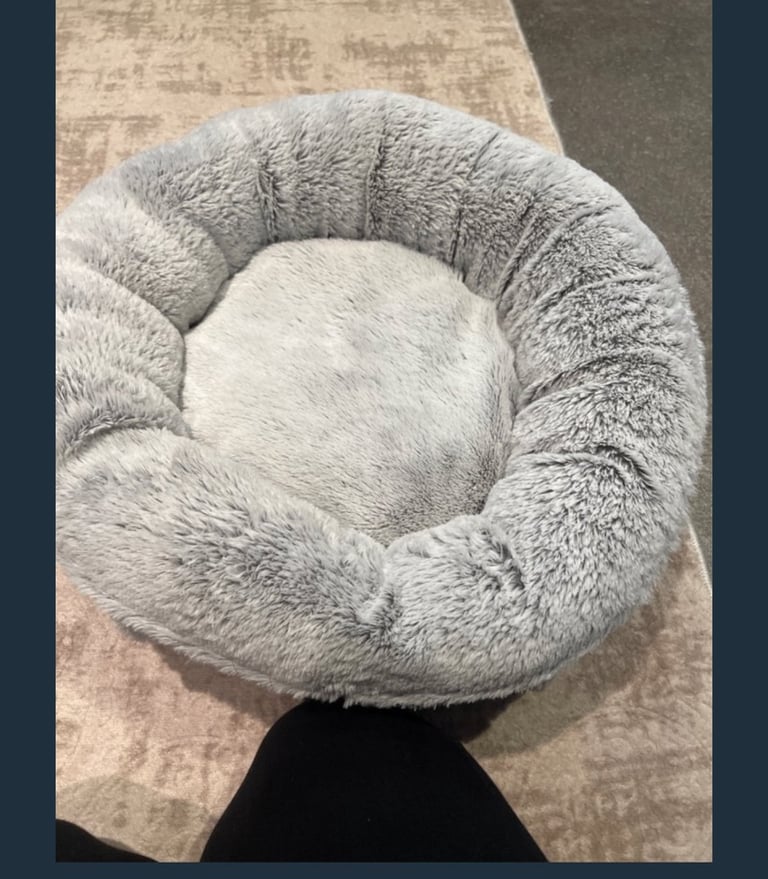 Pet bed 