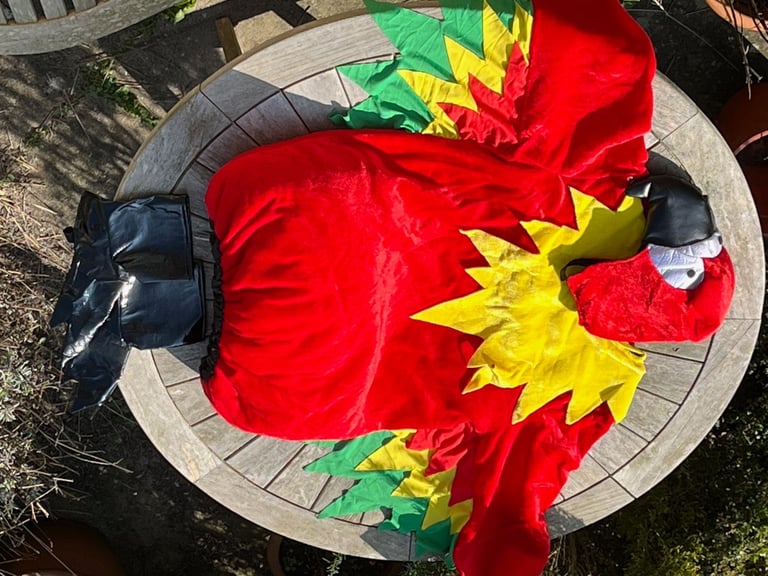 image for Fancy dress parrot costume