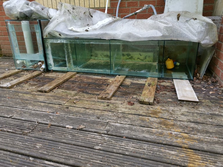 Free Fish tank and refugeeum ideal for Marine tank setup