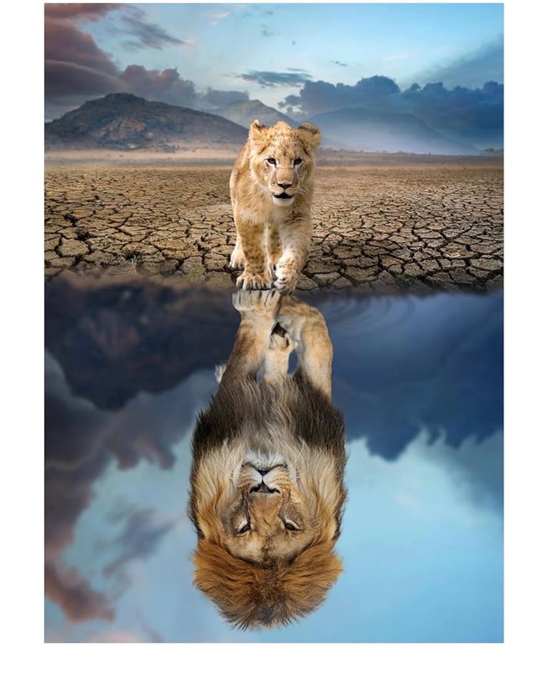 image for Jigsaw puzzles(brand new)