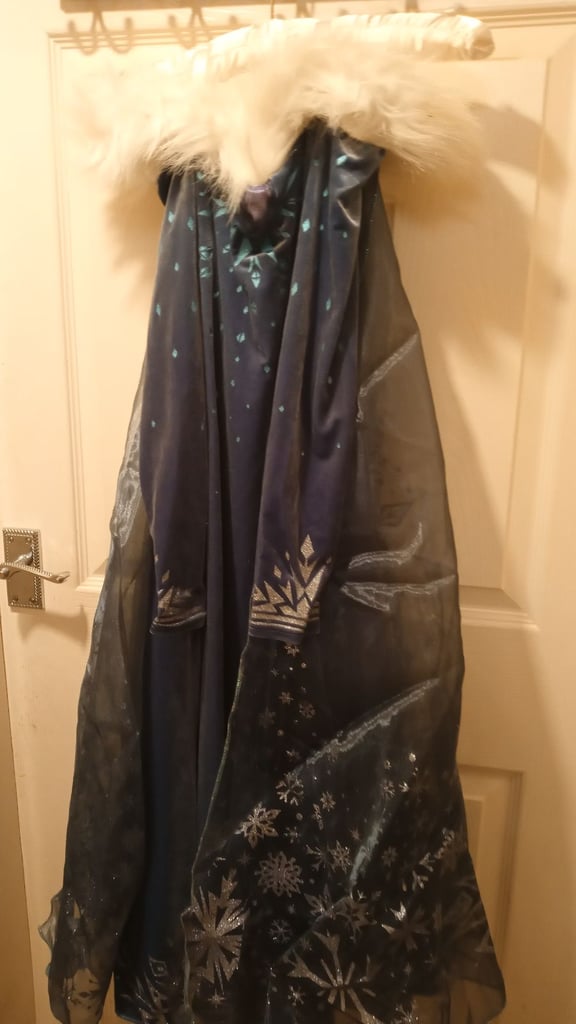 Deluxe Elsa dress age 9 to 10 years old new £25