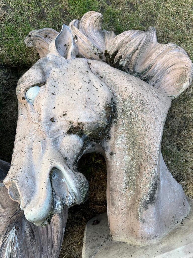 Beautifully striking 2 horse heads.
