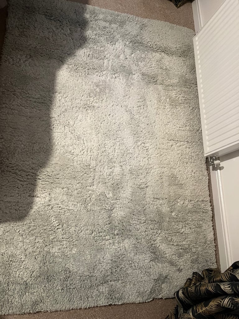 image for Sage green rug