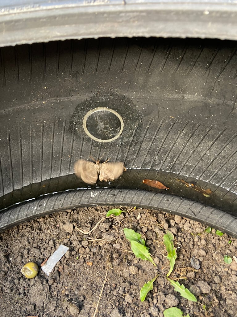 245 40 r19 tyres