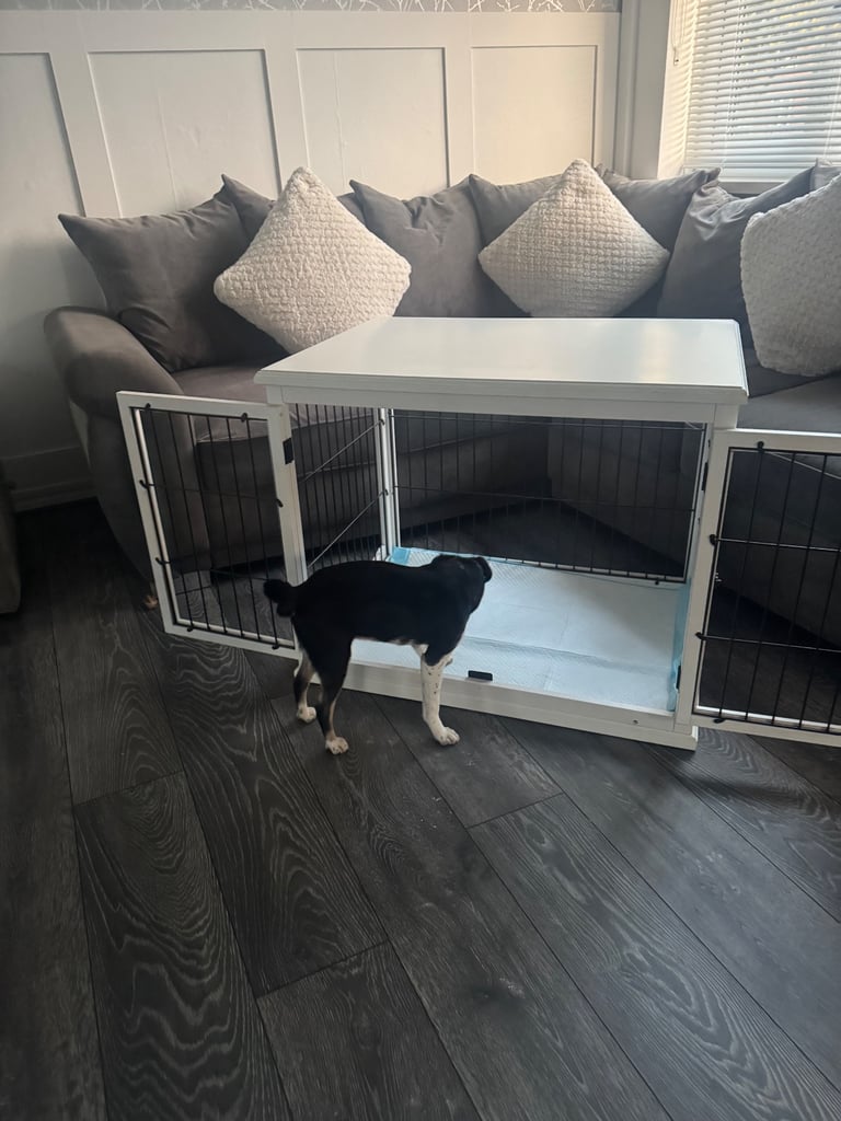 White Wooden 80cm Dog Crate Cage For Sale Puppy Training Pen Enclosure Bed