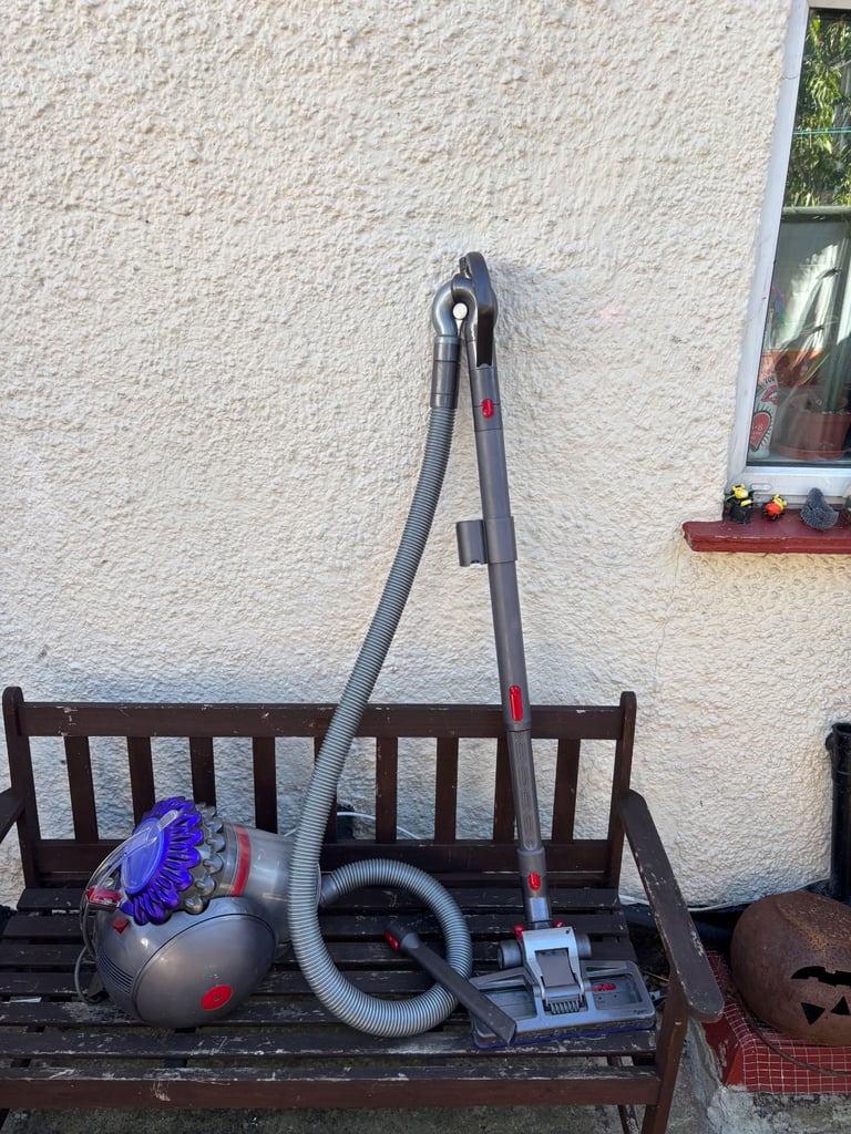 image for Dyson animal vacuum cleaner 