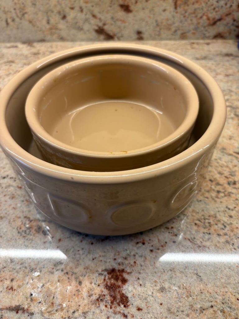Mason Cash ceramic food/ water bowls