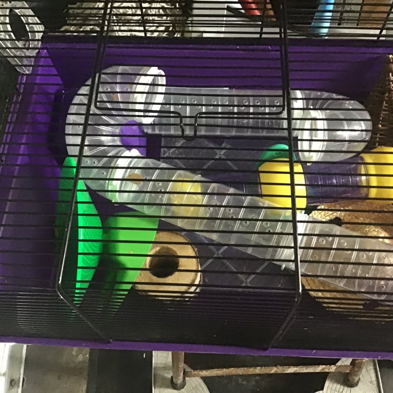 Hamster cage 