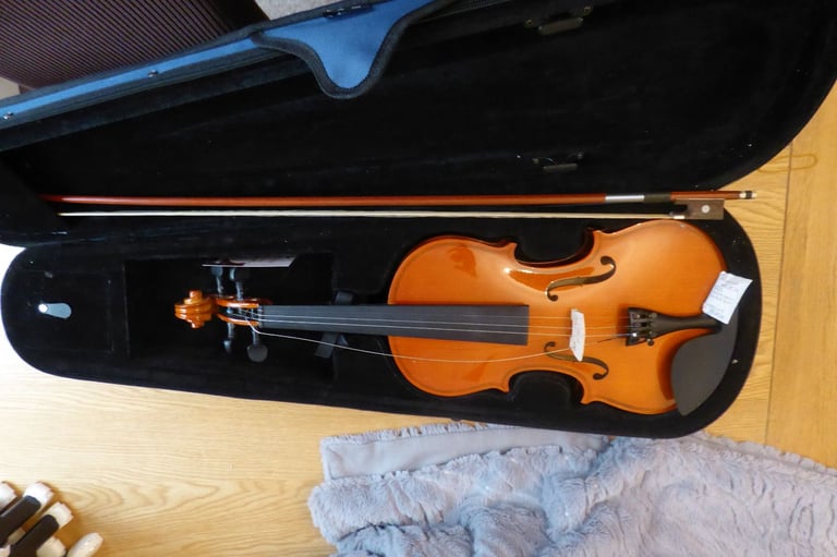 image for Aileen Violin 4/4 Full Size for Beginners - With Case