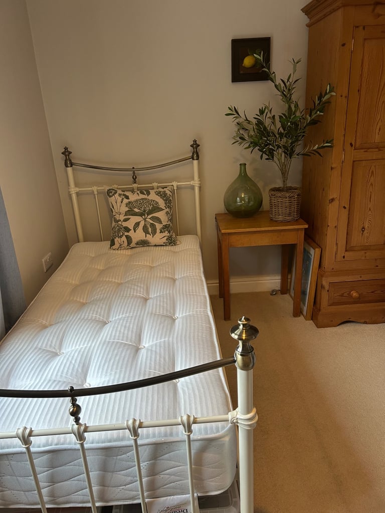 Excellent single metal bed frame and mattress