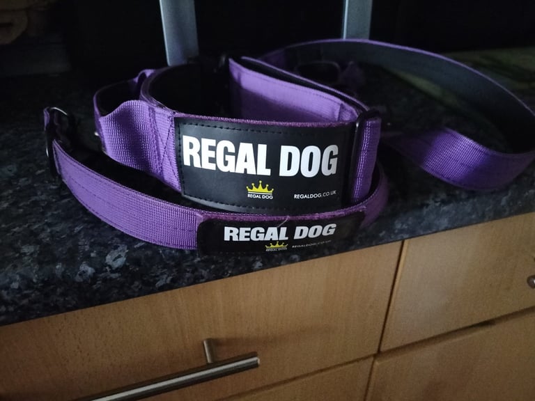 Regal dog collar and lead set 