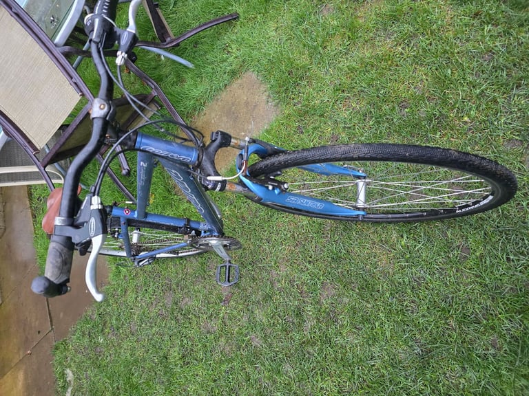 Ladies carrera bike 