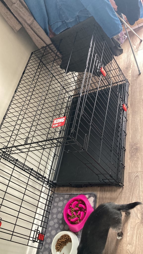 image for Large dog crate 