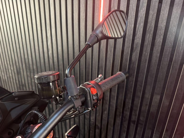 2020 Aprilia Tuono 1100 V4 1100 Factory Euro 4