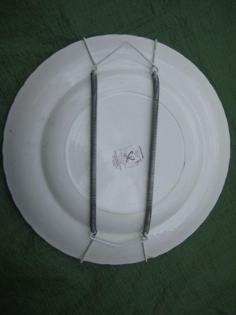 Vintage Yorkshire SR Ironstone Genuine Hand Engraved Decorative Wall Plate for £10.00