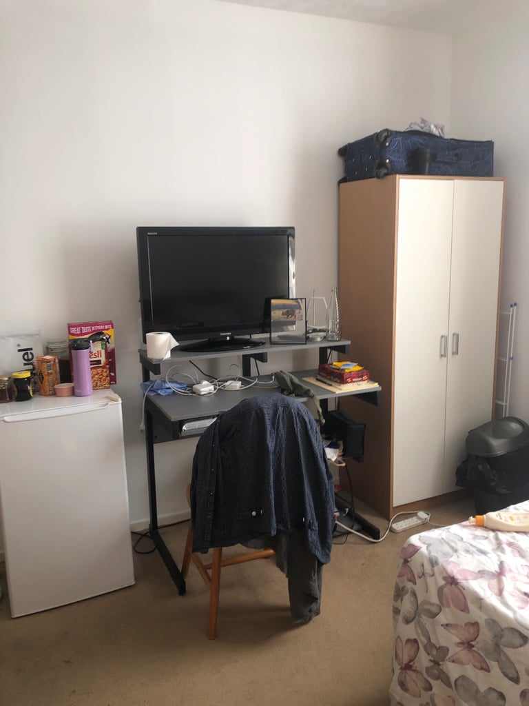 Very nice and spacious room for single professional 