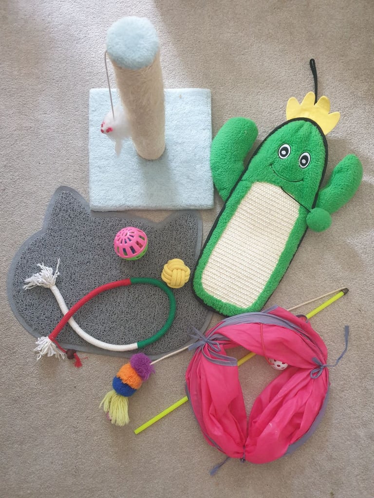 Cat toys bundle