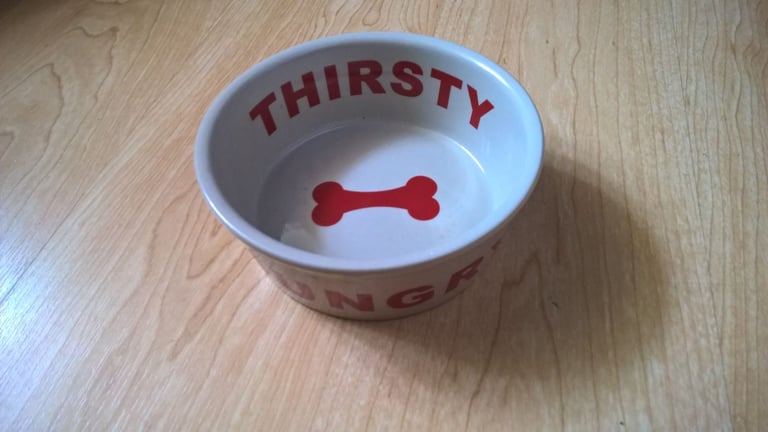 image for ''Fidos Diner'' Stoneware Dogs Bowl,