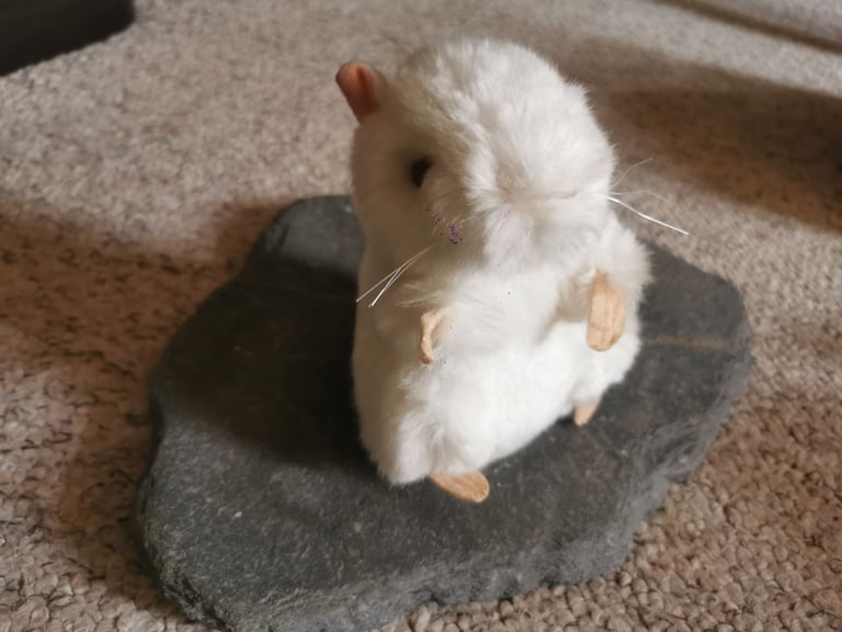 image for ​🦠 GIANT Microbes Plush Toy Collection - Science, Gags & Collectibles! (Bundle Price!)