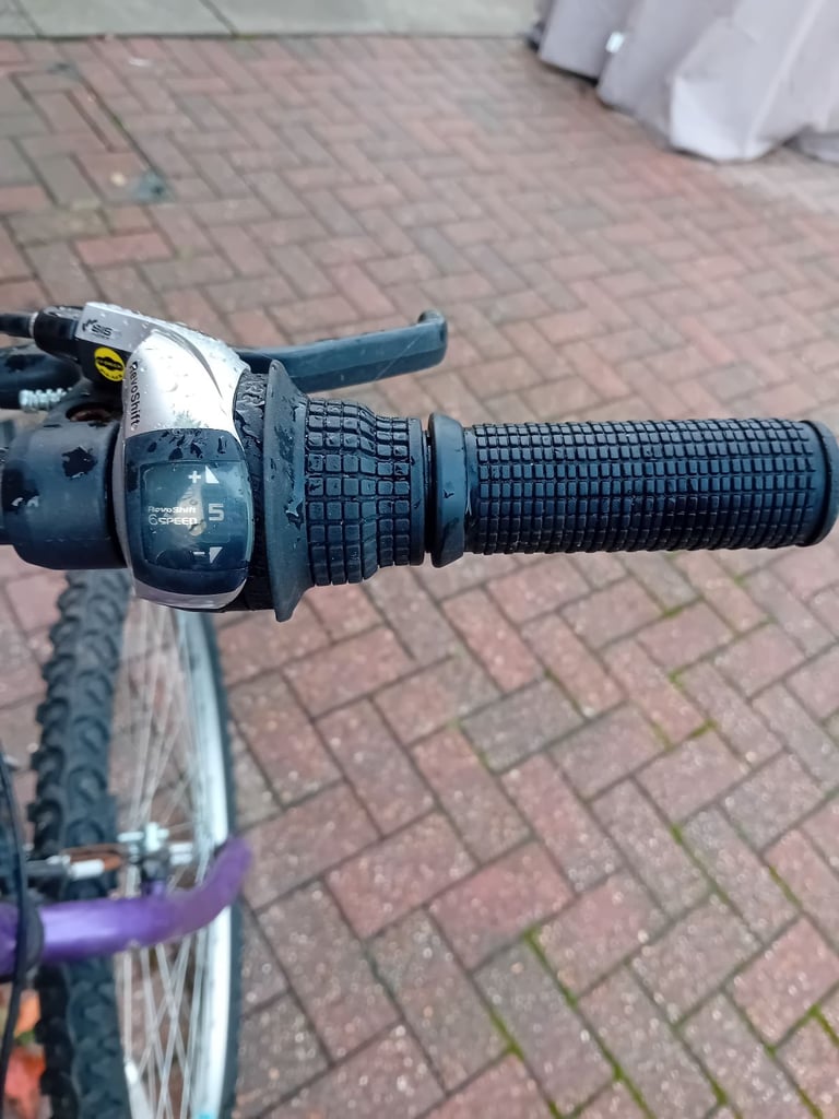 Universal Blowout Wildthing Ladies Bike