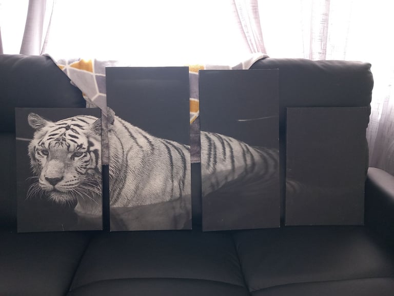 Tiger canvas