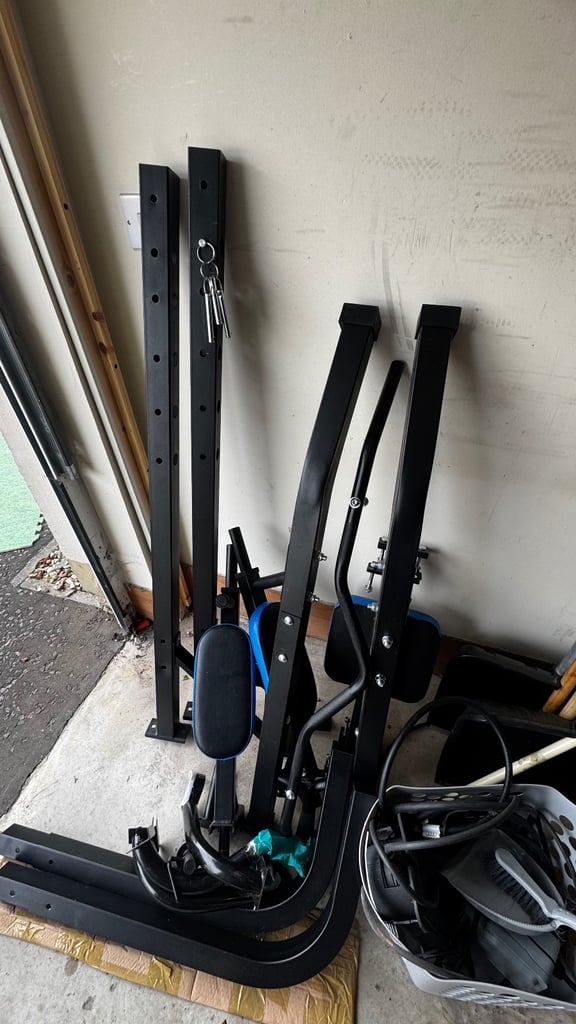 Pro Fitness Dip and Pull Up station