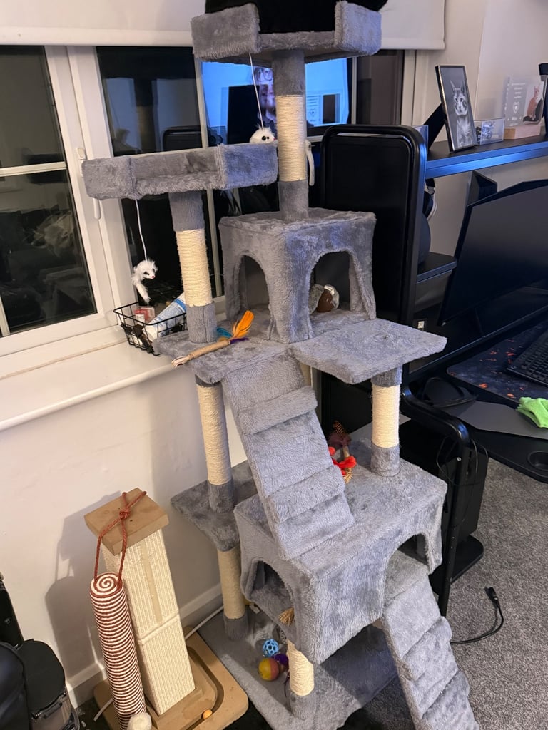 Cat tree 