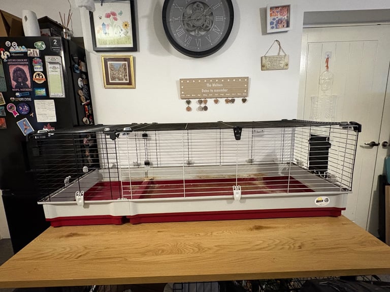 Extra large 160cm long indoor cage
