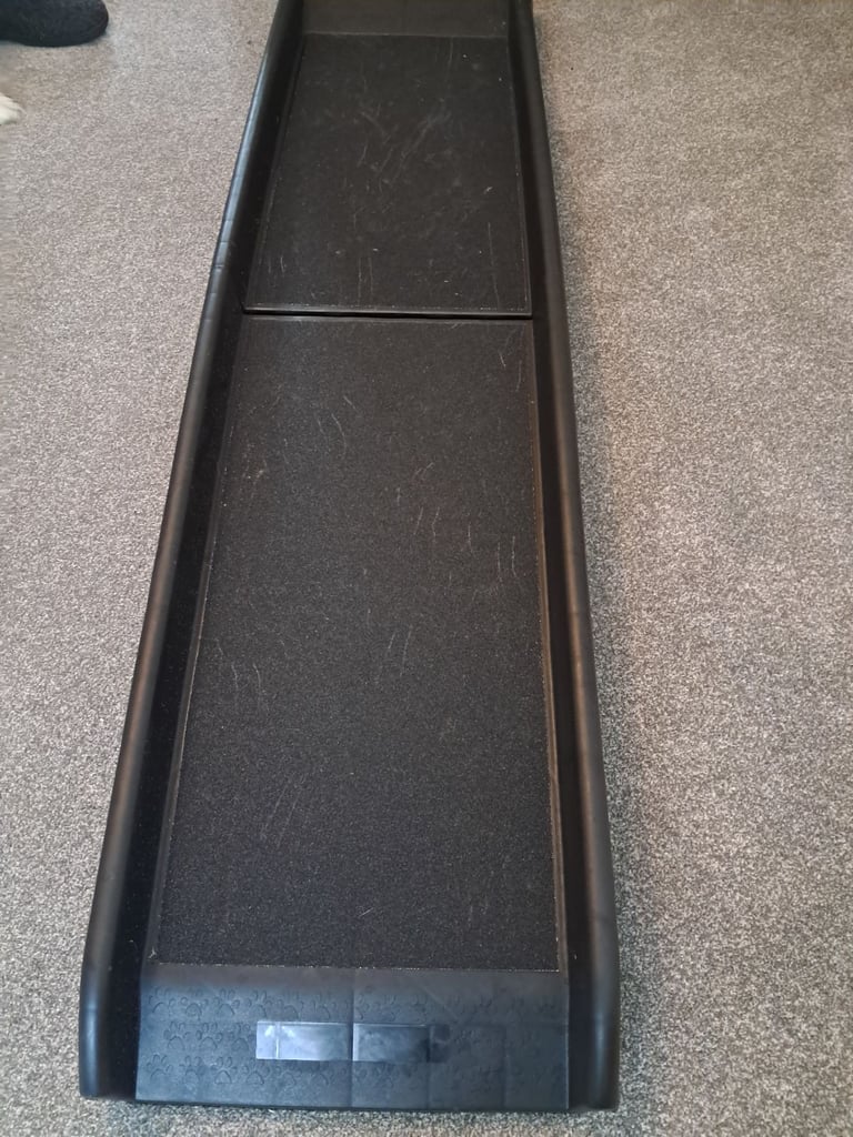 Dog ramp