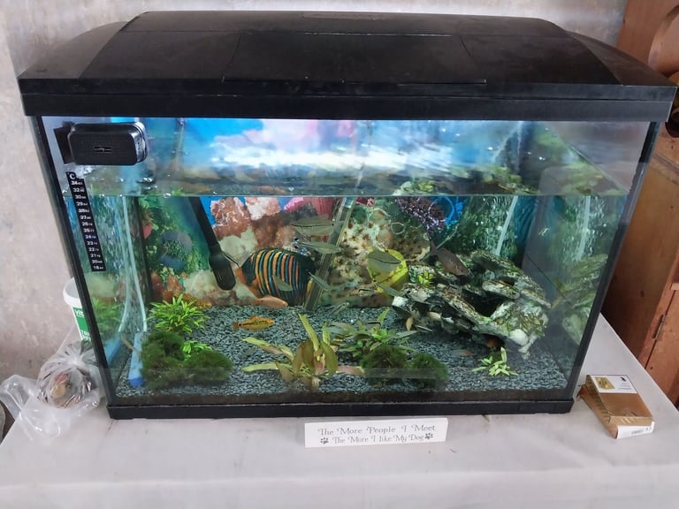 Fish tank 