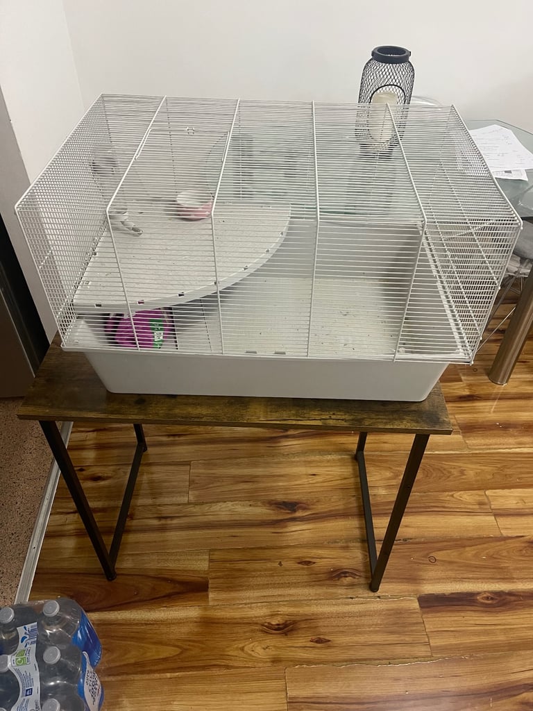 Hamster cage and accessories 