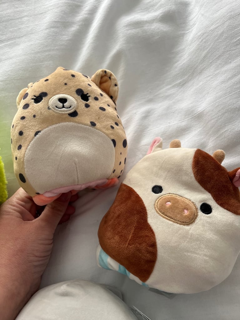 6 official Squishmallows bundle
