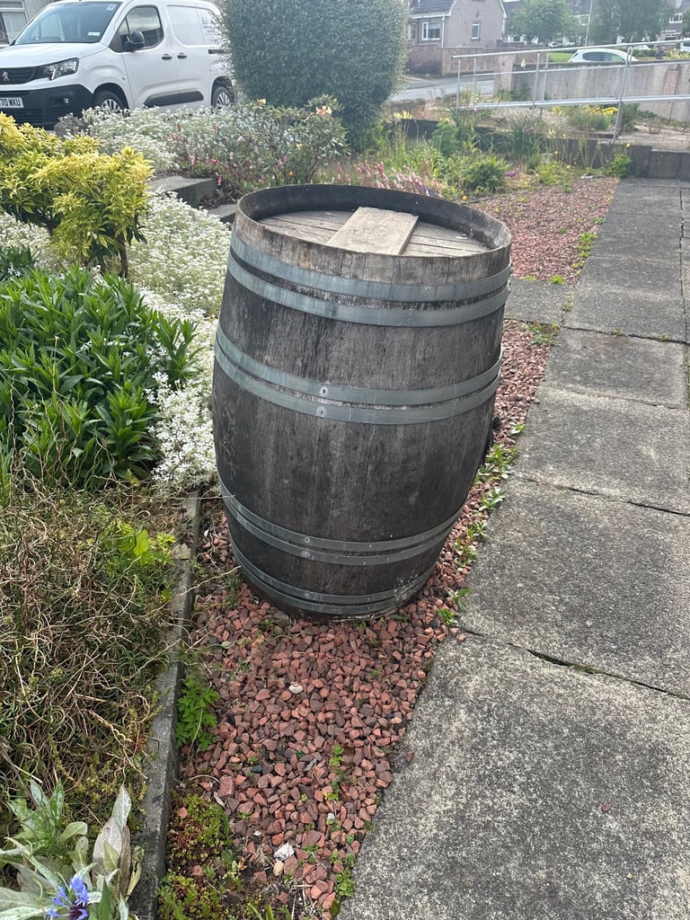 Whiskey barrels and half barrels 