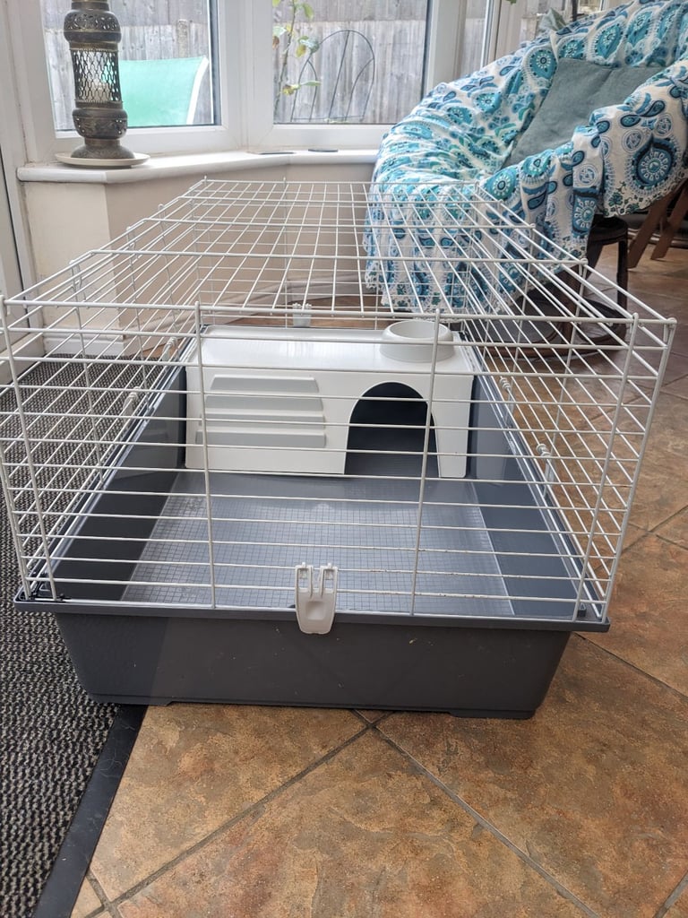 Guinea pig/Rabbit run