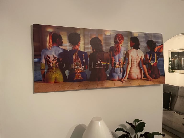 Printed Pink Floyd Canvass