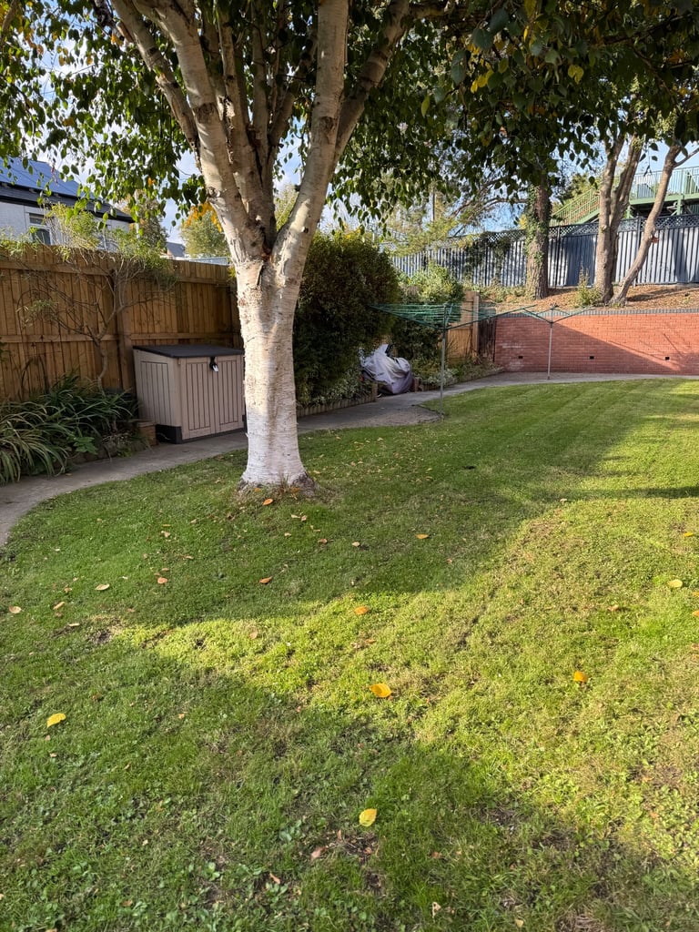 Petrol lawn mower