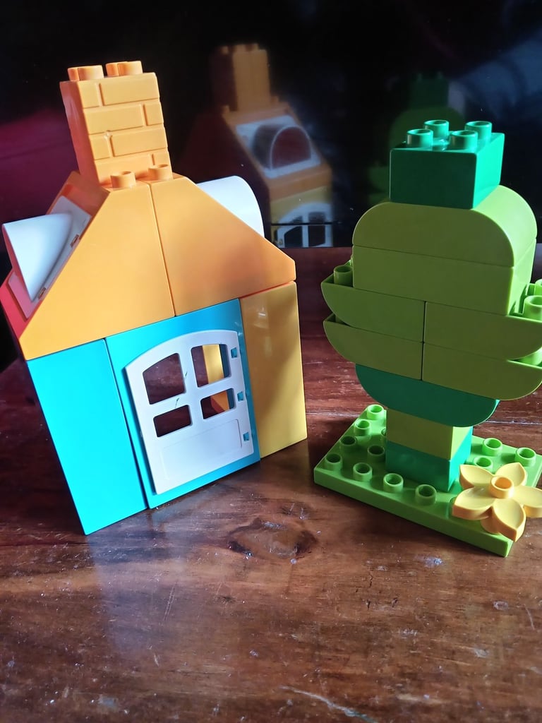 House Lego Duplo 