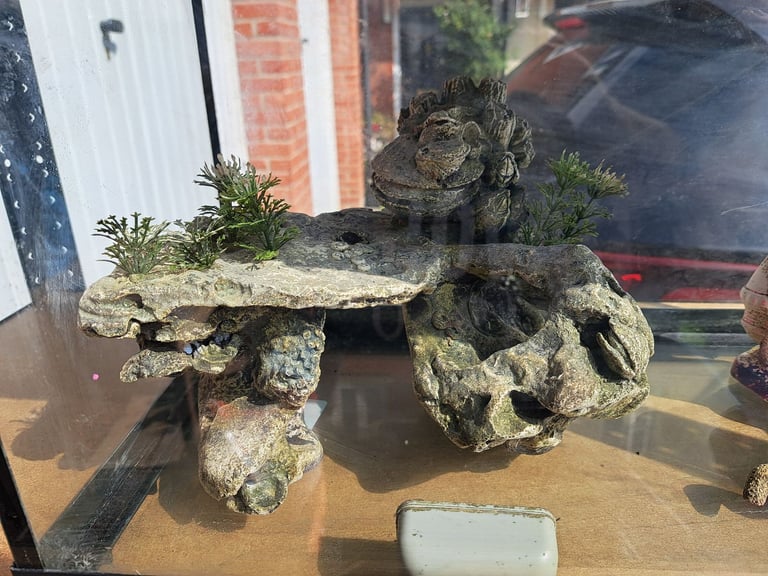 Reptile tank/ terrarium