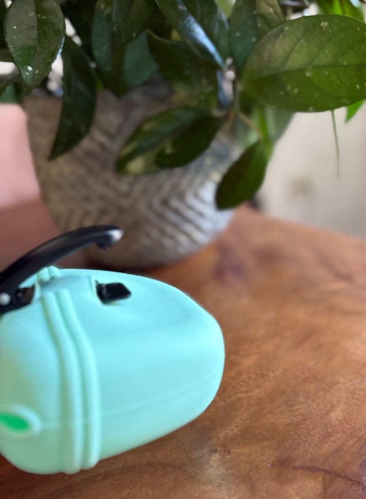 Green Silicone Dogs Treat Pouch