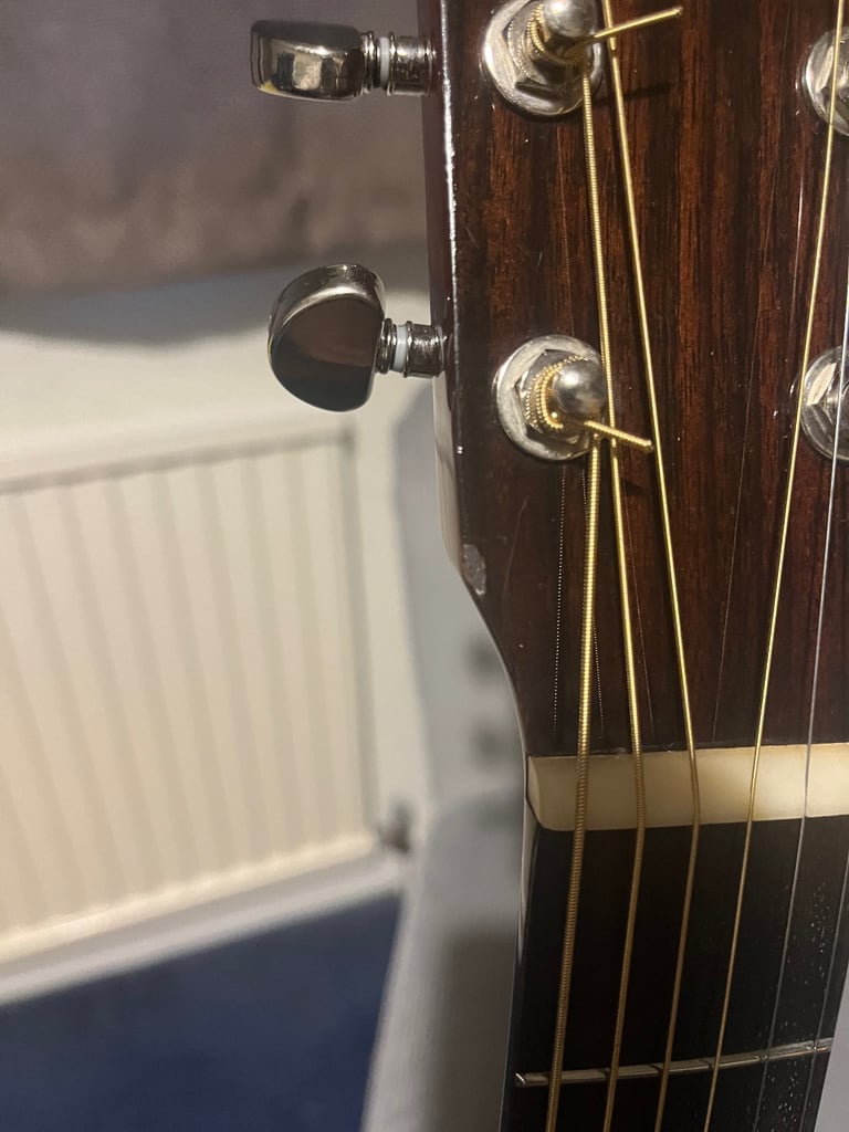 Recording King RD-310 *All Solid Woods*