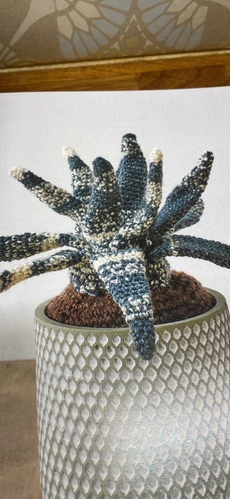 Book crotchet houseplants 