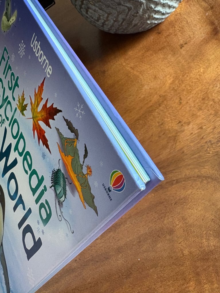 Usborne First Encyclopedia of our World 🌎
