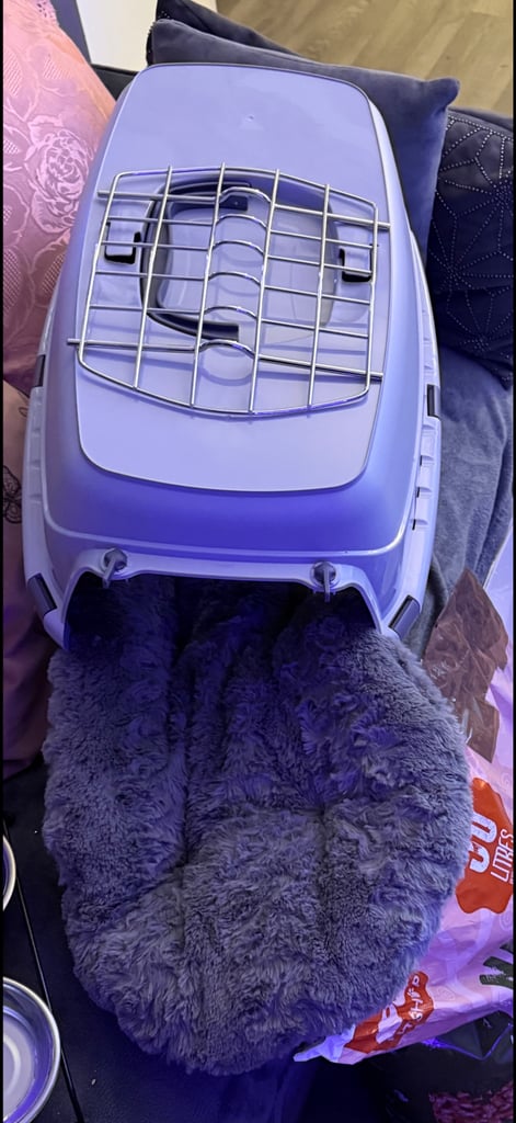 Pet carrier & Matt used twice 